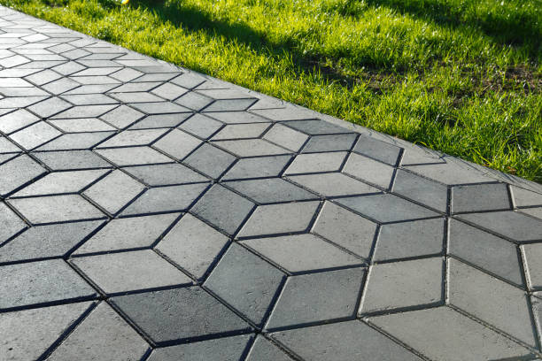 Best Driveway Paving Contractor  in Presidio, TX