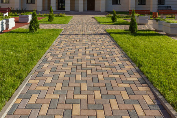 Best Local Driveway Pavers  in Presidio, TX