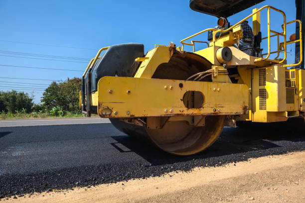 Best Custom Driveway Pavers  in Presidio, TX
